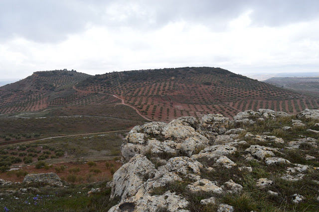 Vistas desde el Calar