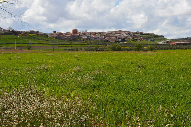Vistas de Puebla del Príncipe